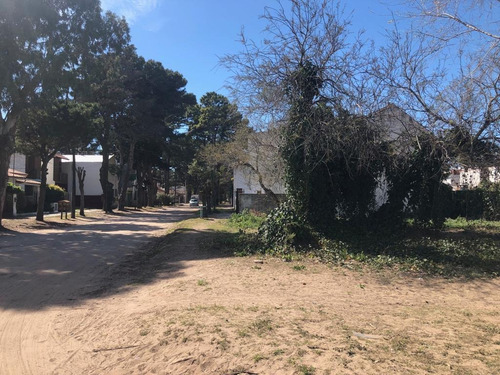 Importante Lote En Esquina 600m2- San Bernardo