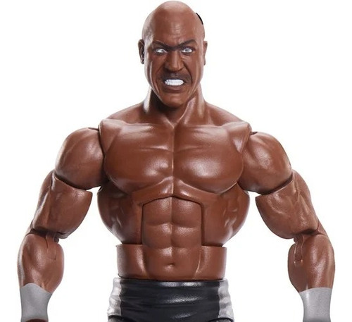 Zeus Wwe Summerslam Elite 2023 Baf Mr Perfect - Mattel