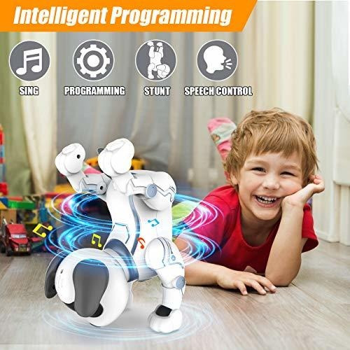 Robot De Control Remoto Para Cachorros Para Niños, Juguete