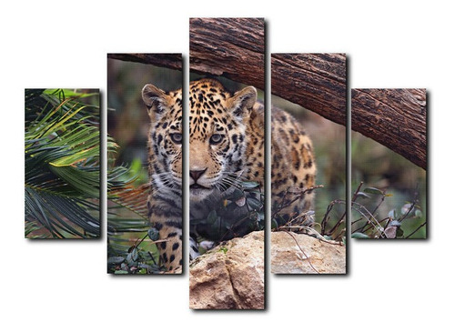 Cuadro Decorativo Canvas 5pz 120x80 Jaguar Selva