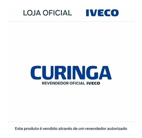 Par 2 Luz Direção Seta Parachoque Tector Original Iveco