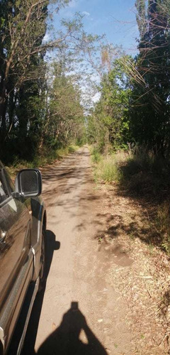 Imagen 6 de 10 de Finca 22 Hectarias En Colonia Elena San Rafael
