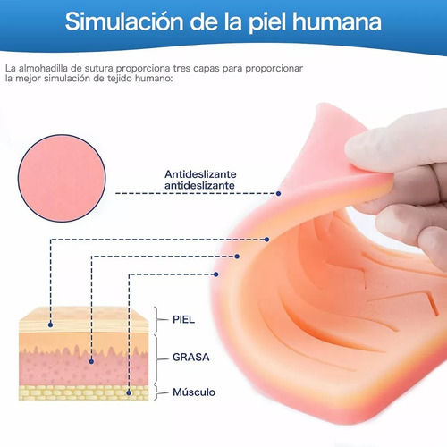 Kit De Práctica De Suturas Modelos Anatómicos Para Estudiant
