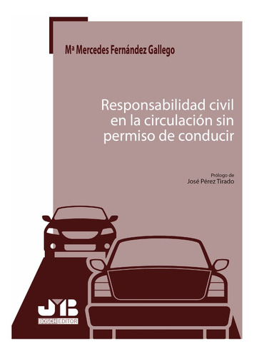 Responsabilidad Civil En La Circulación Sin Permiso De Co...