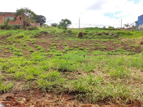 Imagem 4 de 7 de Grande Oportunidade De Terreno À Venda, 360 M² Por R$ 260.000 - Jardim Dos Pinheiros - Americana/sp - Te0003