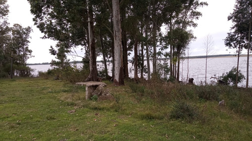 Venta Finca San Gregorio De Polanco