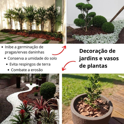 Imagem 3 de 7 de Casca De Pinus Polida Saco 80 Litros 100% Natural Oferta