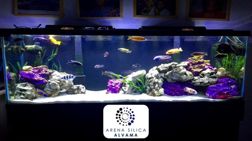 Arena Silica Blanca Acuario Pecera 50 Kg Envio