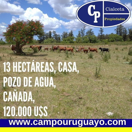 Chacra De 13 Hectáreas Con Casa Y Cañada