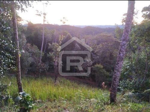 Imagem 2 de 30 de Lindo Sitio Com Uma Maravilhosa Vista No Alto Do Morro Tendo Uma Linda Vista Para O Pôr Do Sol - 113 - 69319003