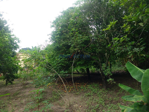 Chácara À Venda Em Jardim Porto Real - Ch261861