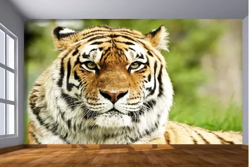 Papel De Parede Animais Tigre Paisagem 3D 7,50M² Anm238