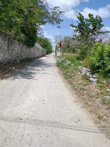 Imagen 5 de 6 de Terreno En Venta En Conkal A 10 Mins De Merida. Construye Ahora.