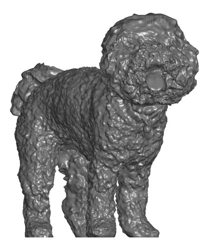 Estatua Figura Perro Poodle Caniche Mod 3 Diseño Decoración