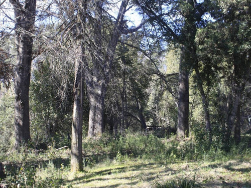 Venta Lote Villa La Angostura