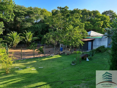 Imagem 4 de 22 de Granja A Venda Em Parnamirim