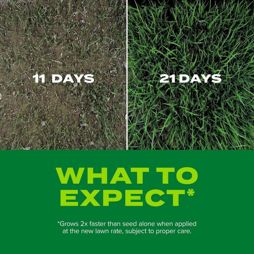 Scotts Turf Builder Rapid Grass Tall Fescue Mix - Mezcla Par