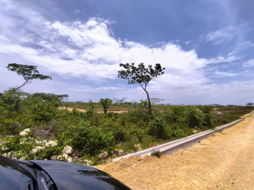 Vendo Solares De Oportunidad En La Av. Ecológica Y Marginal La Américas
