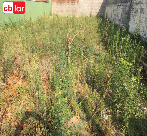 Imagem 5 de 6 de Terreno - Te00157 - 70140104