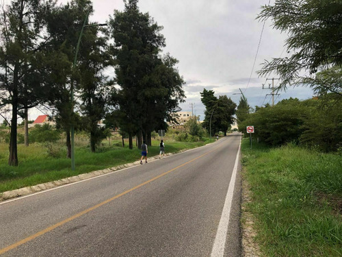 Terreno En Renta En Comitan