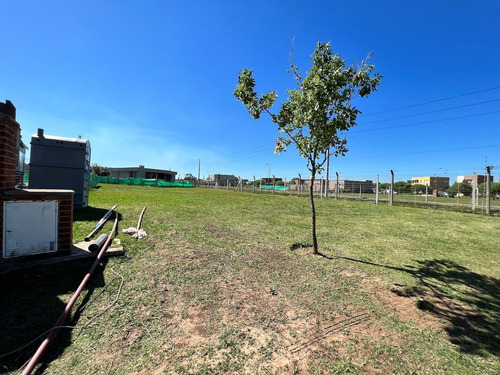 Imagen 7 de 12 de Lote De Gran Metraje 555m2 En Barrio San Eduardo, Pilar Del Este! Reservalo!