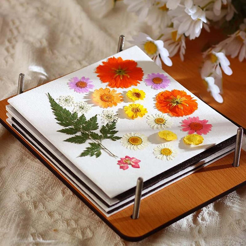 Prensa Libro De Flores Dispositivo Para Hacer Flores