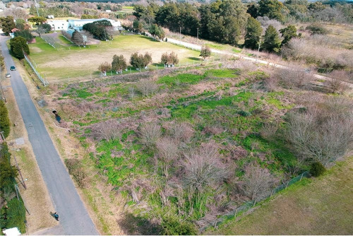 Fraccion De Tierra/ Lotes En Venta En Villa Elisa