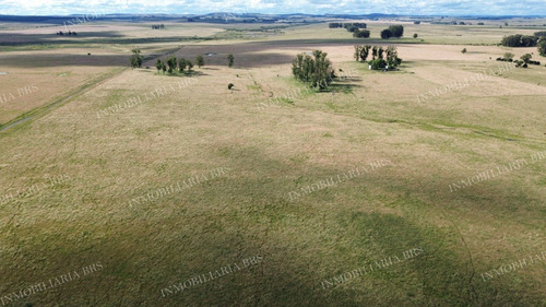 Campo Con Casa En Venta 65 Hectáreas