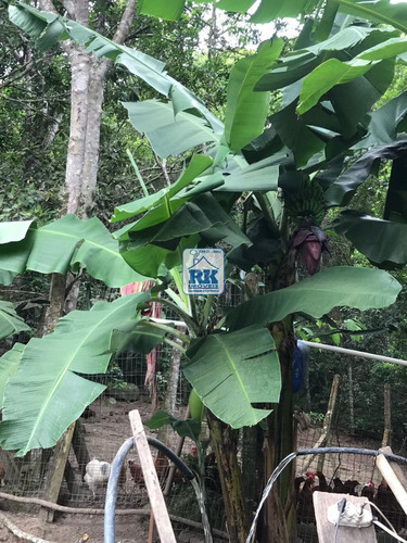Imagem 25 de 30 de Chácara À Venda Em Vargem Do Bom Jesus - Ch008530