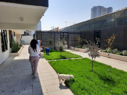 Hermoso Departamento 2d + 1b En Freire, La Cisterna