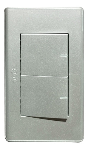 Interruptor Igoto Doble Modelo A2022-s Color Plata