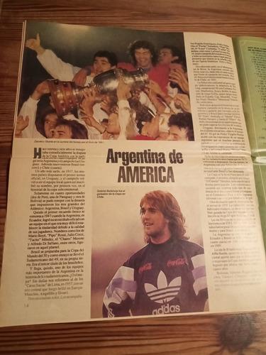 Suplemento Especial Clarín Afa 100 Años De Una Pasión 1993 E (Usado)