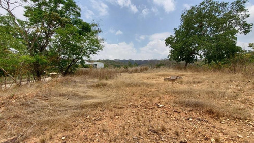 Imagen 8 de 14 de En Venta Terreno En Valencia Guataparo Country Club De 900m2