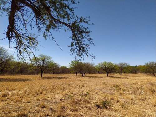 Imagen 2 de 3 de Excelente Campo Céntrico En Luján