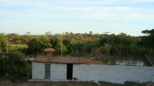 Imagem 3 de 11 de Mais Qualidade De Vida Ao Seu Dia A Dia, Você E Sua Família, Chácara 1,5 Hec, Agrestina, Ac. Carro - Ch00019 - 69009197