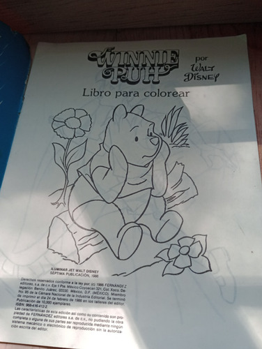 Libro Para Colorear Vintage Winnie Pooh Fernández Editores (Usado)