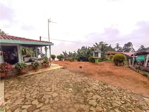 Finca En Fredonia Vereda La Cordillera