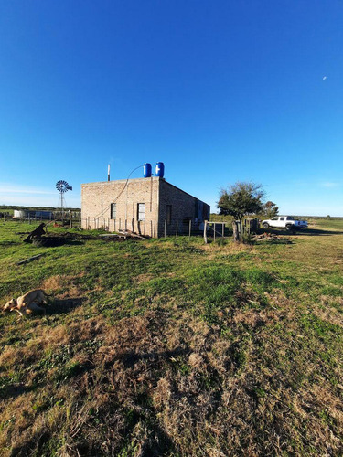 Campo - Costa Del Uruguay