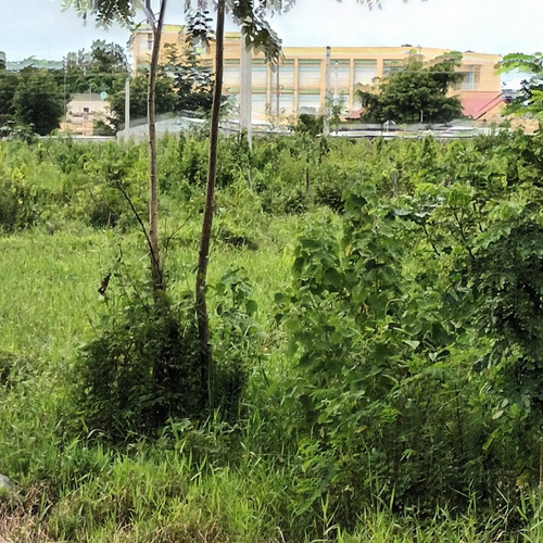 Imagen 14 de 20 de Apertura De Solares En Doña Luz 2da Etapa / Descuentos En El Costo Por Metro Hasta De Rd$1000 Pesos