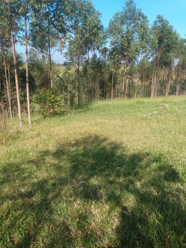 Imagem 4 de 10 de A28-lotes Venha Já Conhce Seu Sonho Ta Aqui !