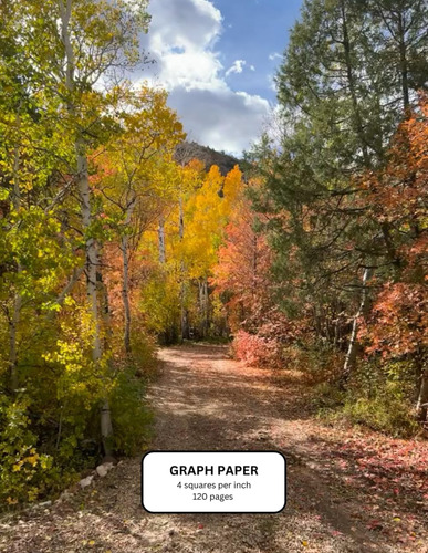 Libro: Fall Road Graph Paper Notebook: Treasure The Autumn R