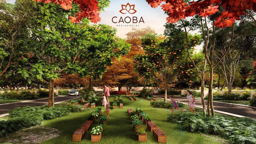 Imagen 7 de 7 de Venta De Lotes Residenciales Caoba, Hunucma