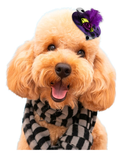 Sombrero Elegante Perro