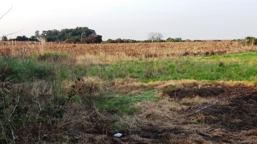 Campo 57 Hectareas Con Arroyo En Canelones