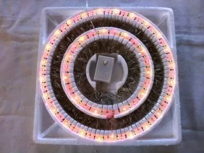 comprar Luces Navidad 140l Rice Light Multifuncion Cable Transparent