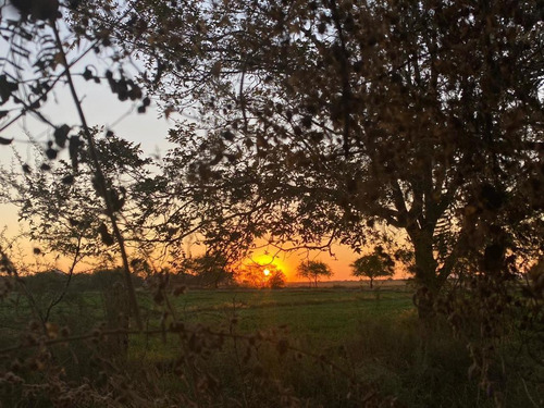 Terreno En Venta En Ejido Rancho Afuera Matamoros, Coahuila