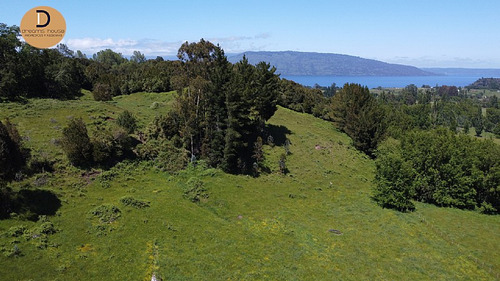 Cruce Pulelfu Camino El Encanto Km 7,3 Puyehue