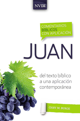 Libro: Comentario Bíblico Con Aplicación Nvi Juan: Del Texto