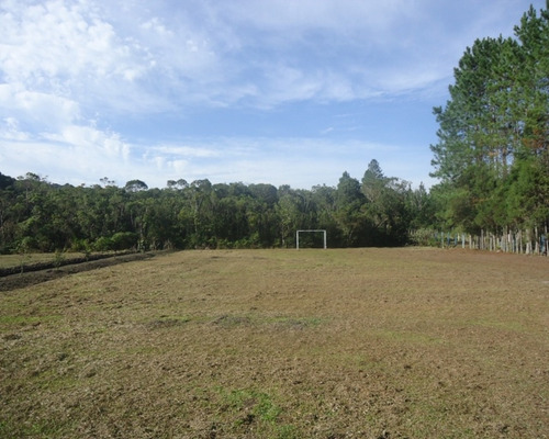 Imagem 3 de 23 de Sítio À Venda Em Juquitiba - 247 - 32982589
