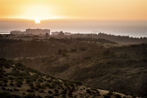 Parcelas En Algarrobo 5 Hectareas A Pocos Minutos De Playa